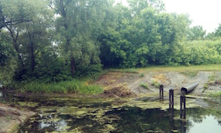 Экологические услуги от ПромМир-Жлз в Железнодорожном - стоимость от 12305 руб.