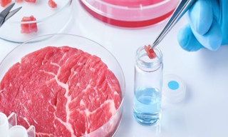 Лабораторный анализ пищевых продуктов по СанПиН в Железнодорожном в октябре