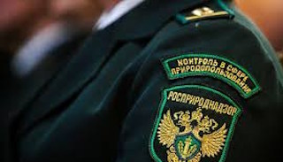 Подготовка к проверке Росприроднадзора в Железнодорожном от ПромМир-Жлз, стоимость услуги от 20508 руб.